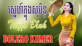 ស្នេហ៍ក្នុងសុបិន្  Nhạc Khmer Trữ Tình Nhạc Khmer Trữ Tình Campuchia Hay Nhất  Melody Khmer [upl. by Rawdin]