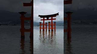 広島の宮島  Miyajima Island in Hiroshima ⛩️ japan hiroshima miyajima shika nujabes beats shorts [upl. by Doug]