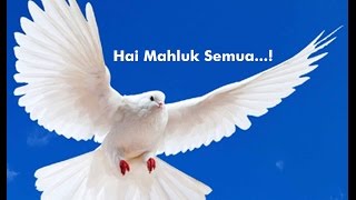 Lagu Rohani  HAI MAHLUK SEMUA [upl. by Nauaj]