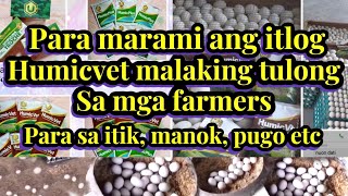 Para marami ang itlog ng itik manok pugo  humicvet malaking tulong sa mga farmers [upl. by Essej]