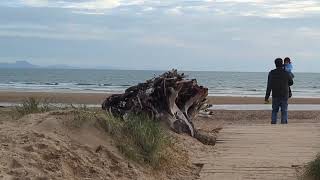 Ramp to the Newborough beach Anglesey uk wales anglesey newboroughtravel [upl. by Alemac433]