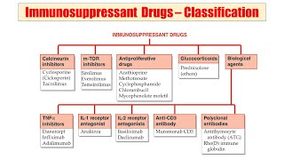 63 Immunosuppressant Drugs  Classification of Immunosuppressant  Example of Immunosuppressant [upl. by Neelyak670]