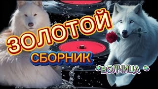 💎🔥ЗОЛОТОЙ СБОРНИК  ВОЛЧИЦА ЗАХОДИ СЛУШАЙ🎧 КАЙФУЙ [upl. by Iorgos]