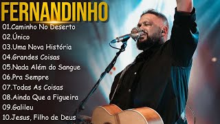 FERNANDINHO  Caminho No Deerto  Único Top 10 Hinos Gospel Mais Ouvidos de 2024 [upl. by Ennis472]