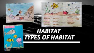 habitat and types of Habitat project class6 science [upl. by Nnov339]