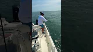 Helping My Friend Catch His First False Albacore [upl. by Jump]