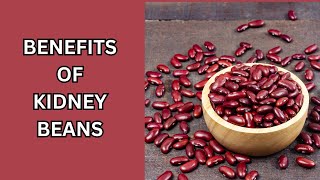 Discover Why Kidney Beans Are Essential [upl. by Brackett448]