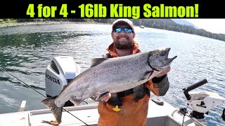 4 for 4  16lb King Salmon Alaskan King Salmon Fishing  Juneau Alaska JUNE 2024 alaska [upl. by Ahseuqram378]