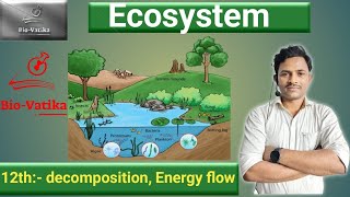 Bio vatika  class  12 II Ecosystem II decomposition II energy flow [upl. by Martella]