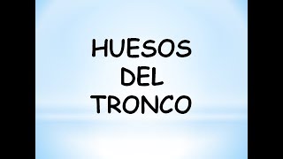 Guía de los HUESOS del TRONCO ☠️ [upl. by Deana]