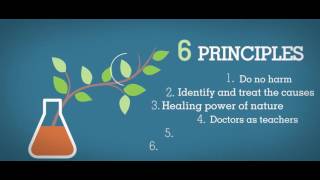 What Is Naturopathic Medicine [upl. by Einahpets]