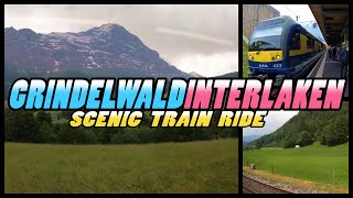 GRINDELWALD to INTERLAKEN Scenic Train Ride  Switzerland 4k [upl. by Ludeman]