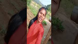 Maine ek bar nhi bar bar dekha h Shorstatus youtubeshort nivimbaofficial [upl. by Nnayrb]