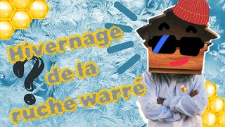 Comment faire lhivernage dune ruche warré  ❄❄❄ [upl. by Eulaliah]