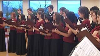 Middleton High School Chamber Singers Wassailing Song 122411 [upl. by Maer]