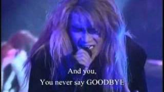 X Japan Tears with Lyrics Full Song Fan [upl. by Burtie]