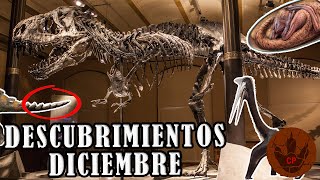 DESCUBRIMIENTOS DICIEMBRE 2021 EMBRIÓN DE DINOSAURIO ARTICULADO INFECCIÓN ÓSEA EN TYRANNOSAURUS [upl. by Hakan334]