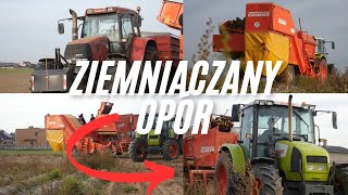 Wykopki ziemniaków 2024🔥🇵🇱✓Claas Ares 550 Rx✓ Case cvx 120 ✓ Grimme SE 7530✓🇵🇱🔥😎 [upl. by Riegel]