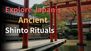 Shinto Rituals EXPLAINED Japans Sacred Traditions [upl. by Holmes]