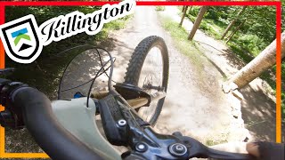 Killington Bike Park The Beast of the East UNCHAINED [upl. by Asina131]