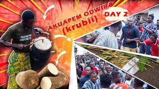 Akuapem Odwira Festival 2024 Day 2  Outdooring the New Yam krubii [upl. by Enyaz]