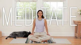 8 Minute Meditation You Can Do Anywhere [upl. by Auhso225]