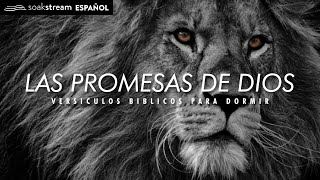 Las Promesas de Dios  Versiculos Biblicos Para Dormir [upl. by Gnay]