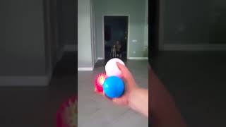 Dog and squeaking Balls reverse video [upl. by Aliwt]