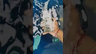 Water proof🗿🍷viralvideo trendingshorts sigma [upl. by Atinnod]