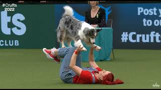 Crufts 2022 Dog Dancing Freestyle Routine  Jen and Daiquiri  Canada [upl. by Bilbe447]