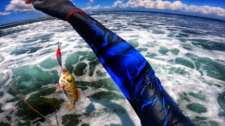 Fishing for Wrasse 🐟 [upl. by Bocock]