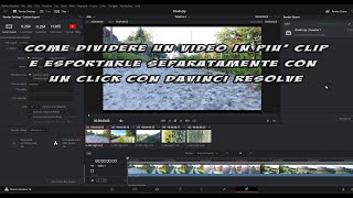 Come dividere un video in più clip e esportarle separatamente con un click con DaVinci Resolve [upl. by Mady]