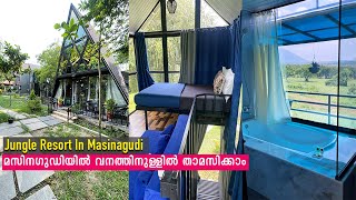 Jungle Resort in Masinagudi  Chalets Resort Masinagudi  മസിനഗുഡിയിൽ വനത്തിനുള്ളിൽ താമസിക്കാം [upl. by Nyledam]