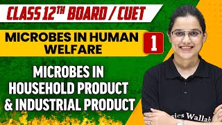 Microbes in Human Welfare 01 Microbes in Household Product amp Industrial Product  Class 12thCUET [upl. by Lagasse989]