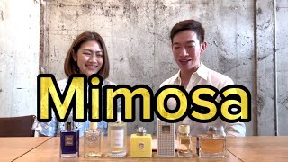 Paul’s Selection EP117 Thai  Mimosa perfumes ranked by Bowwayachi [upl. by Novar]