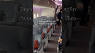 Economy vs Premium Economy vs Business vs First Class  Singapore Airlines A380 [upl. by Hedveh335]