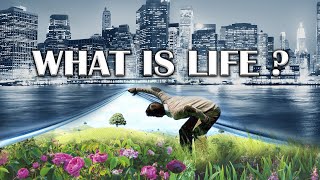 What is Life Messages After the Grave Series Session 9 Emerson Ferrell [upl. by Nedi]