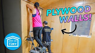 Installing PLYWOOD WALLS instead of DRYWALL in the Not So Tiny House [upl. by Yeleen]