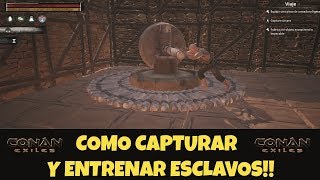 Como capturar y entrenar esclavos Conan Exiles [upl. by Kiker]