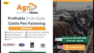 Profitable Small Scale Cattle Pen Fattening Masterclass [upl. by Kayne]