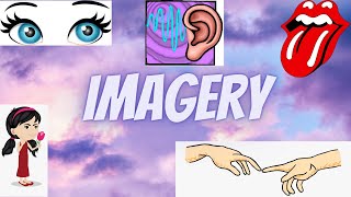 USES AND TYPES OF IMAGERY [upl. by Hege234]