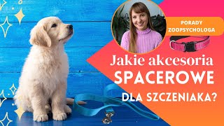 Jak wybrać akcesoria spacerowe dla szczeniaka [upl. by Eberto]