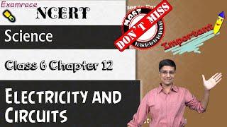 NCERT Class 6 Science Chapter 12 Electricity and Circuits  CBSE  IPO  NTSE  doorsteptutorcom [upl. by Wanonah470]