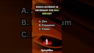 🍎 Are You a Nutrition Pro Test Your Knowledge nutrition quiz [upl. by Thebazile]