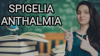 SPIGELIA ANTHALMIA HOMOEOPATHIC MEDICINEEXPLAINED WITH ALLEN KEYNOTES DRDEEKSHA [upl. by Hwang358]