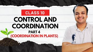 Control and Coordination P4  Class 10  Coordination in Plants  CBSE [upl. by Natika]