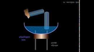 Electrolysis of Aq Acid  Animated Expt amp Explanation in BENGALI [upl. by Dareg]