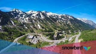 Summer at Snowbird [upl. by Outhe]