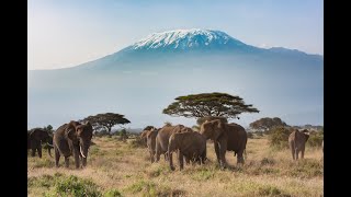 Mt Kilimanjaro with the American Alpine Institute [upl. by Jackie91]