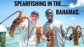 Spearfishing poisonous lion fish in the Bahamas￼ [upl. by Inaniel672]